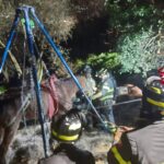 Cogorno, cavallo di 31 anni scivola giù da una piana: soccorso dai VVF