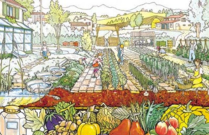 Chiavari Orti urbani, scaduto il termine per presentare le domande Chiavari Orti urbani, scaduto il termine per presentare le domande