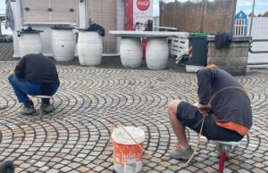 Recco, passeggiata a mare: interrati olivi secolari e alberi del corallo Recco, passeggiata a mare: olivi secolari e alberi del corallo
