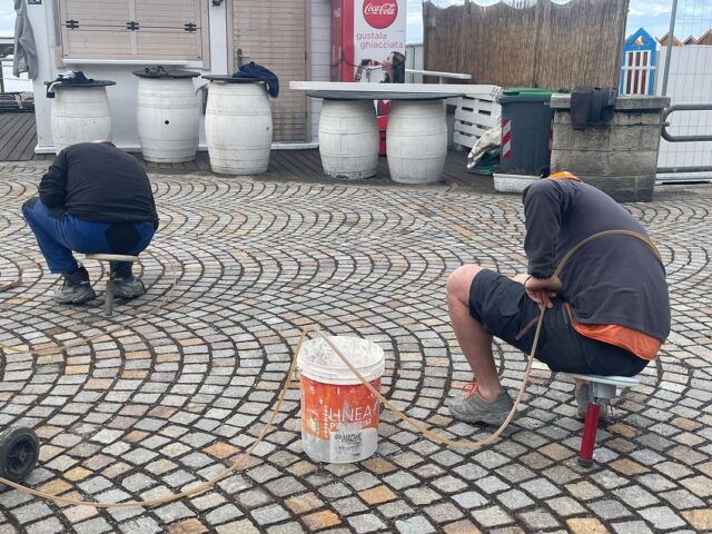 Recco, passeggiata a mare: olivi secolari e alberi del corallo Recco, passeggiata a mare: olivi secolari e alberi del corallo