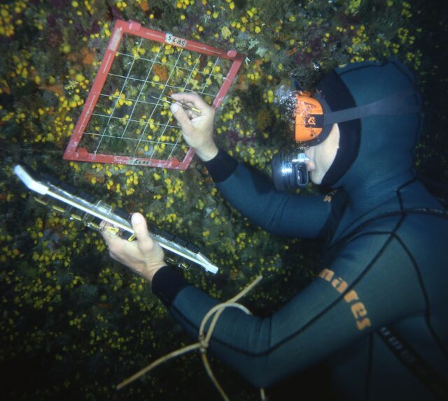 Mercoledì 10 aprile parte il ciclo di incontri degli Amici dell’Acquario Mercoledì 10 aprile parte il ciclo di incontri degli Amici dell’Acquario