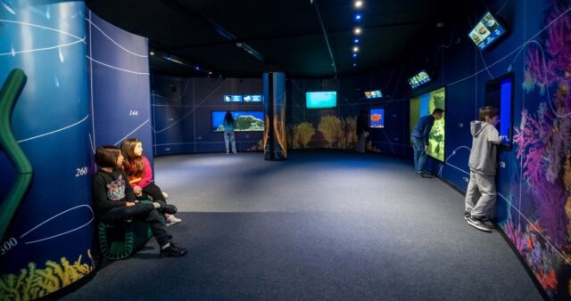 acquario bambini
