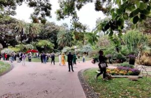 Al via Villa Ormond in fiore: riflettori su produzione ligure da record Al via Villa Ormond in fiore: riflettori su produzione ligure da record