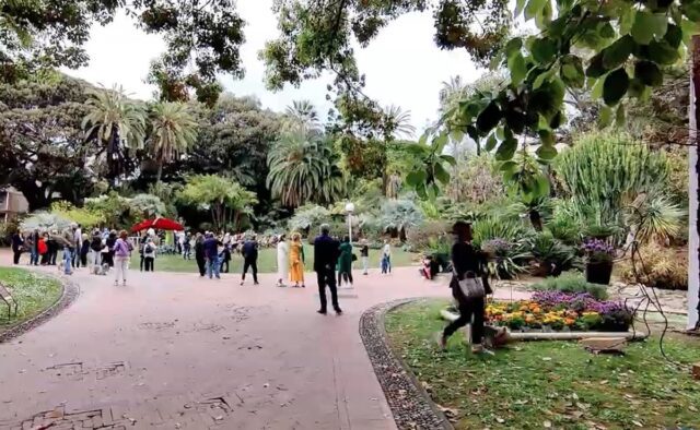 Al via Villa Ormond in fiore: riflettori su produzione ligure da record Al via Villa Ormond in fiore: riflettori su produzione ligure da record