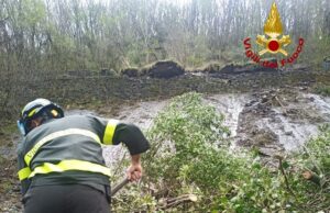 Bargagli, frana lungo la SS45: cambio del servizio Bus Amt Frana a Carasco: strada liberata dopo l'intervento del Comune e dei vigili del fuoco
