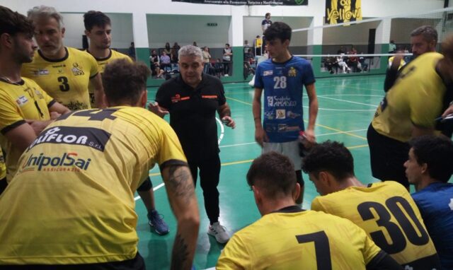 Serie B volley, Grafiche Amedeo Serie B volley, Grafiche Amedeo