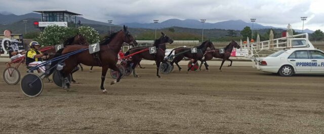 Trotto villanova La partenza della corsa clou (Foto Daros)