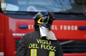 La Spezia, intervento VVF per soccorso animale: salvato capriolo La Spezia, intervento VV.F. soccorso animale