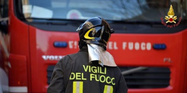 La Spezia, intervento VV.F. soccorso animale La Spezia, intervento VV.F. soccorso animale