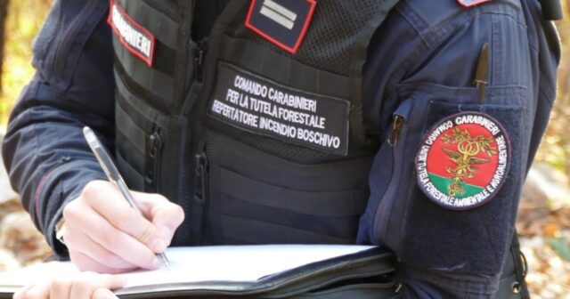 carabinieri forestali