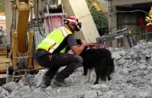 Morta Galassia, salvò 4 persone. In servizio anche per crollo Ponte Morandi
