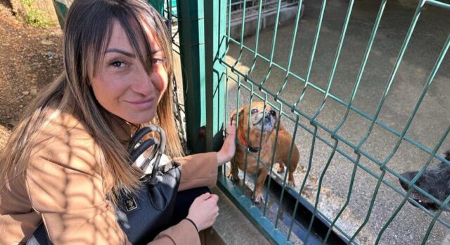 cane francesca corso