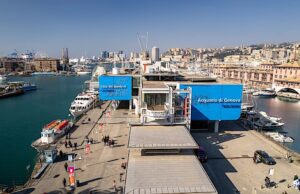 Acquario di Genova protagonista alla Notte Europea dei Ricercatori e delle Ricercatrici 2025 Acquario di Genova protagonista alla Notte Europea dei Ricercatori e delle Ricercatrici 2025