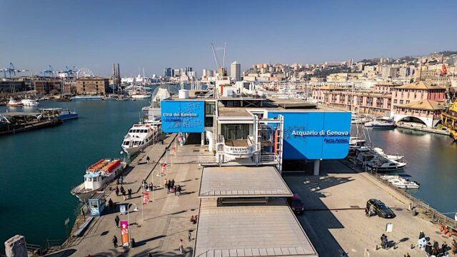 Acquario di Genova protagonista alla Notte Europea dei Ricercatori e delle Ricercatrici 2025 Acquario di Genova protagonista alla Notte Europea dei Ricercatori e delle Ricercatrici 2025