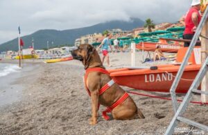 Nuovo appuntamento con Galleggiando & Bolleggiando a Loano Nuovo appuntamento con Galleggiando & Bolleggiando a Loano