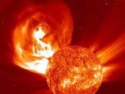 Tempesta solare: quale impatto su cani, gatti e altri animali Tempesta solare: quale impatto su cani, gatti e altri animali?