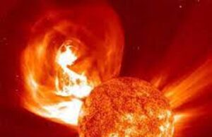 Tempesta solare: quale impatto su cani, gatti e altri animali Tempesta solare: quale impatto su cani, gatti e altri animali?