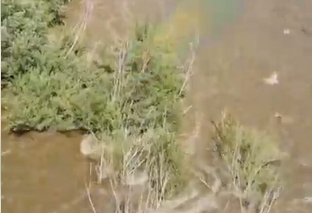 Masone: bomba d'acqua con 143mm di pioggia in un'ora e mezza Masone: bomba d'acqua con 143mm di pioggia in un'ora e mezza