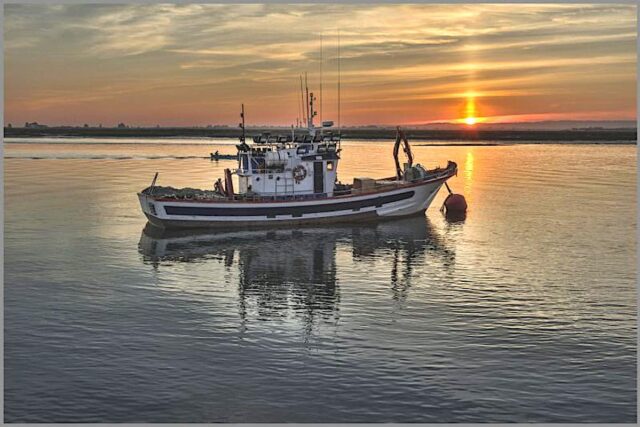 Quali lavori fanno i liguri? Quali lavori fanno i liguri?