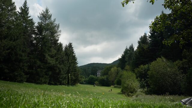 Presentazione del primo Mabon Festival Presentazione del primo Mabon Festival