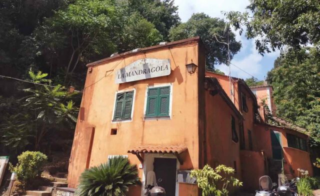 Paraggi, la Mandragola non verrà venduta Paraggi, la Mandragola non verrà venduta