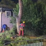 Rischio crollo per tre pini a Brignole: lavori di abbattimento nella notte di lunedì
