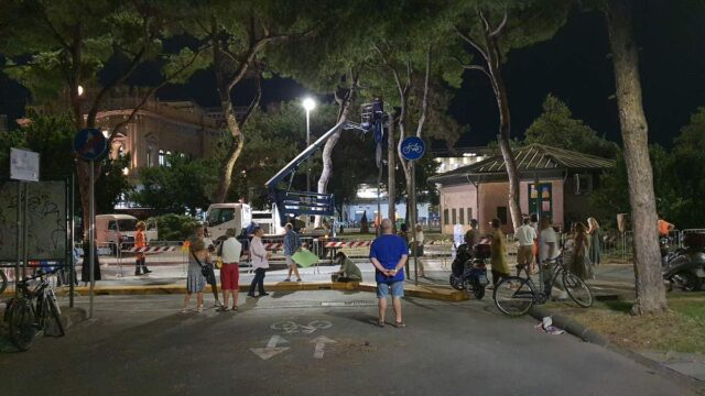 Prosegue l’abbattimento dei pini secolari. Avvenente: pronti a piantare nuovi alberi Prosegue l’abbattimento dei pini secolari. Avvenente: pronti a piantare nuovi alberi