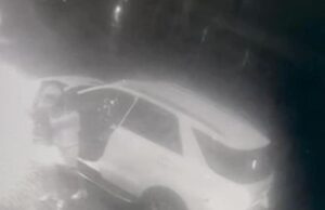 Ladro nordafricano ucciso con l’auto, vicesindaco Rapallo: rischi del mestiere