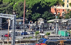 Assessora Verdi e Sinistra: abbatteremo 3 pini e 3 lecci a Brignole