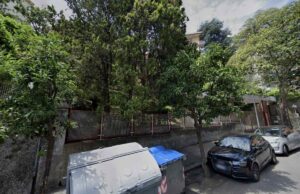 Aranci in Viale Modugno, Avvenente: Smentisco categoricamente l’uso delle motoseghe a Pegli Aranci in Viale Modugno, Avvenente: Smentisco categoricamente l'uso delle motoseghe a Pegli