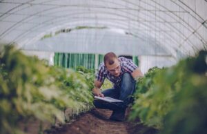 Certificazione agroalimentare: Agroqualità diventa RINA Agrifood Certificazione agroalimentare: Agroqualità diventa RINA Agrifood