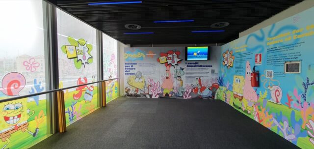 Acquario di Genova, le meraviglie delle scogliere coralline con SpongeBob Acquario di Genova, le meraviglie delle scogliere coralline con SpongeBob