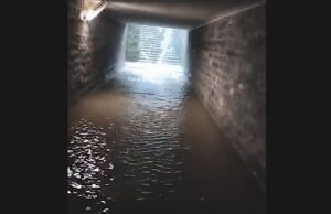 Lettera aperta al sindaco Bucci da un residente di Nervi Lettera Aperta al sindaco Bucci da un residente di Nervi