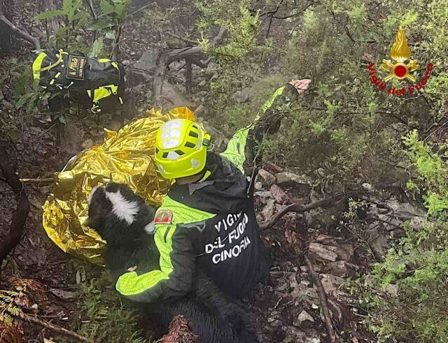 Ritrovato il fungaiolo disperso nei monti di Arenzano Ritrovato il fungaiolo disperso nei monti di Arenzano
