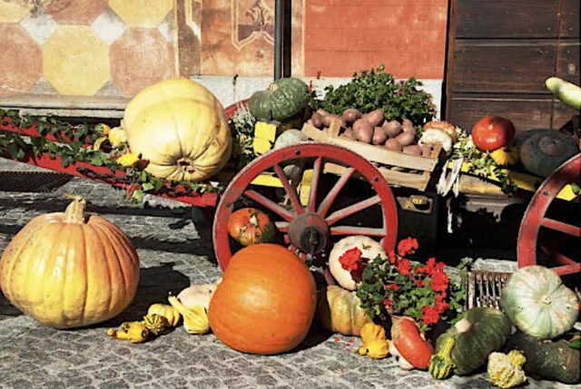 C’è tempo ancora oggi per visitare la 38^ Mostra della Zucca C’è tempo ancora oggi per visitare la 38^ Mostra della Zucca