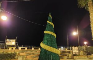 Laigueglia, acceso il grande albero di Natale luminoso Laigueglia accende il grande albero di Natale luminoso