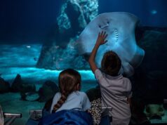 Natale e Capodanno all’Acquario Village di Genova Natale e Capodanno all’Acquario Village di Genova