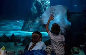 Natale e Capodanno all’Acquario Village di Genova Natale e Capodanno all’Acquario Village di Genova
