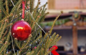 In arrivo ad Alassio “Arte del Natale” e il Luna Park In arrivo ad Alassio “Arte del Natale” e il Luna Park