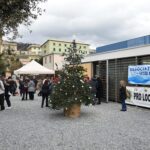 Acceso l’albero di Utri Mare
