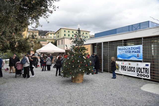 Acceso l’albero di Utri Mare Acceso l’albero di Utri Mare