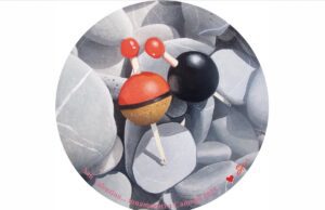 San Valentino… innamorati a Camogli: il piatto è di Alberto Perini San Valentino… innamorati a Camogli: il piatto è di Alberto Perini