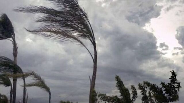 Avviso per vento di burrasca forte: le disposizioni a Genova Avviso per vento di burrasca forte: le disposizioni a Genova