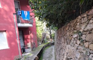 Recco, affidato il servizio manutenzione strade pedonali e la passeggiata mare Recco, affidato servizio manutenzione strade pedonali e la passeggiata mare