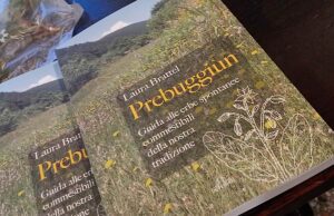 Un pomeriggio da forager a Villa Duchessa di Galliera Un pomeriggio da forager a Villa Duchessa di Galliera