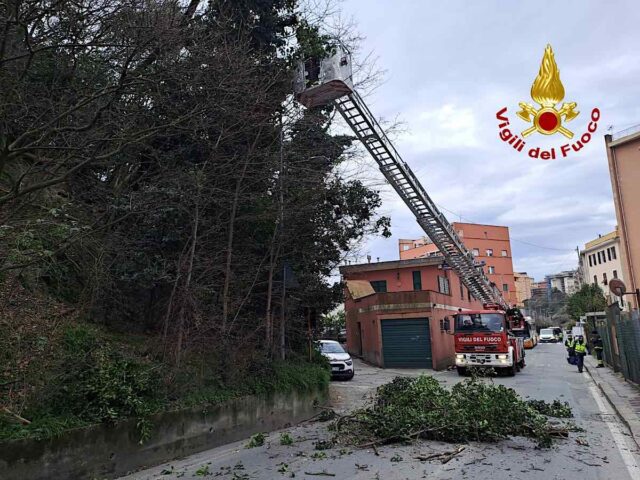 Il vento sferza ancora Genova, ieri diversi interventi dei Vigili del Fuoco