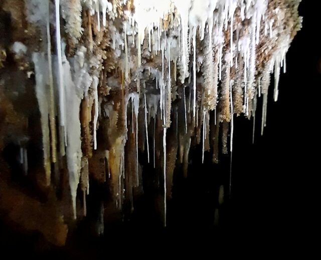 L'Acquario propone un'incontro su speleologia e torrentismo L'Acquario propone un'incontro su speleologia e torrentismo