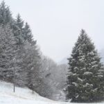 Una domenica sull'Appenino Ligure alla scoperta delle neve