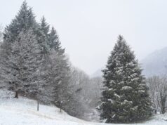 Una domenica sull’Appenino Ligure alla scoperta delle neve Una domenica sull'Appenino Ligure alla scoperta delle neve