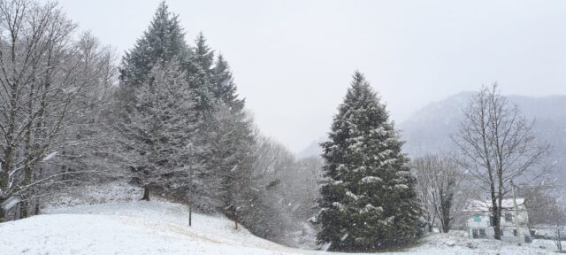 Una domenica sull'Appenino Ligure alla scoperta delle neve
